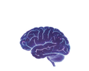 Seriousmindz AI